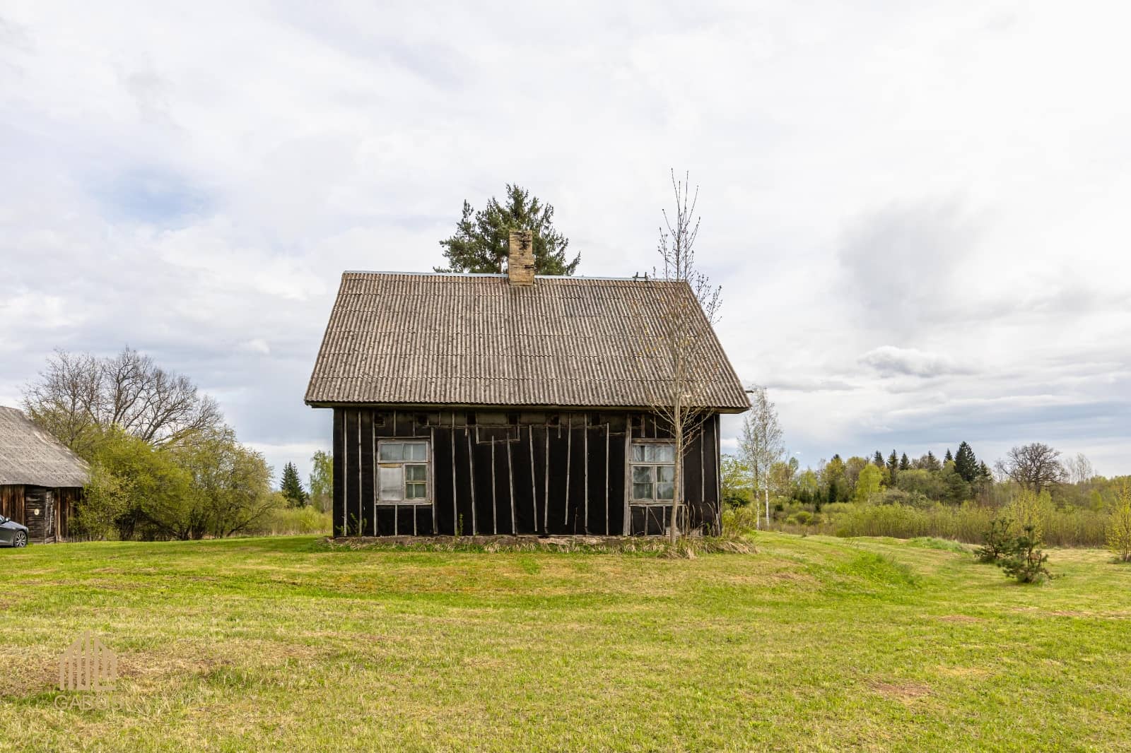 Cimdaiņi 2