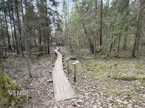 Kārķi, Valkas rajons. Viesturi. 2
